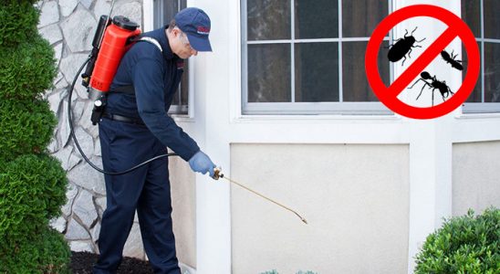 Karahallı Tahtakurusu İlaçlama böcek ilaçlama ve haşere kontrolü — ilaclama-tr.com